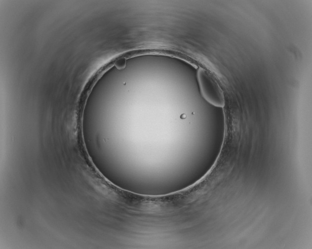 X0000113151364200909041224