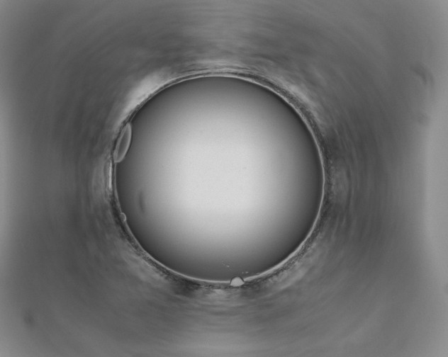 X0000113151365200909041224