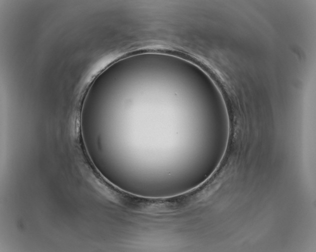 X0000113151367200909041224