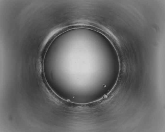 X0000113151368200909041224