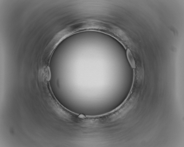 X0000113151369200909041224