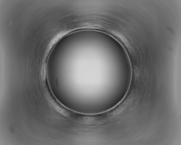 X0000113151371200909041224