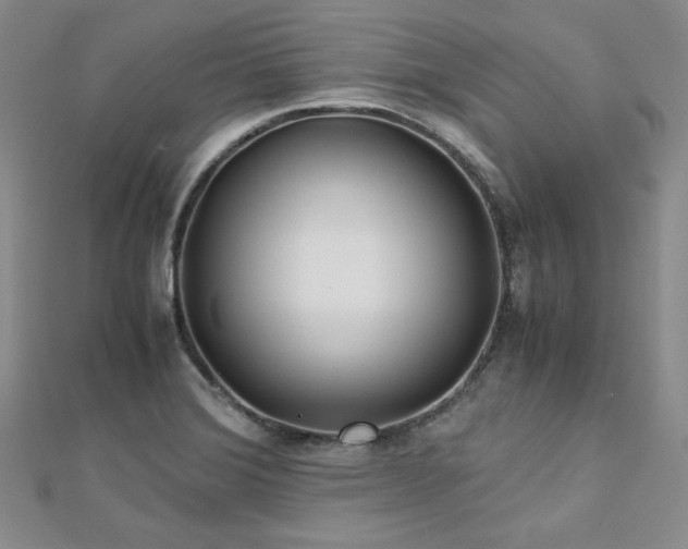 X0000113151372200909041224