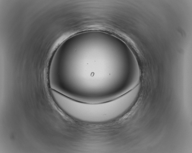 X0000113151373200909041224