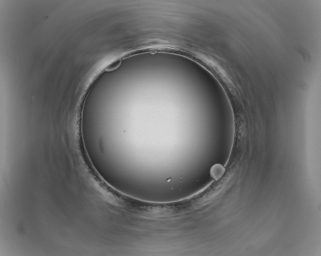 X0000113151375200909041224