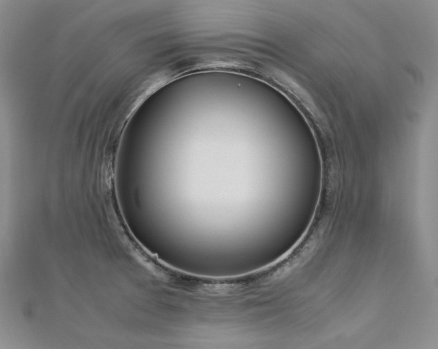 X0000113151377200909041224