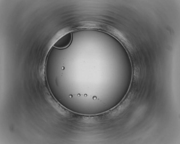 X0000113151378200909041224