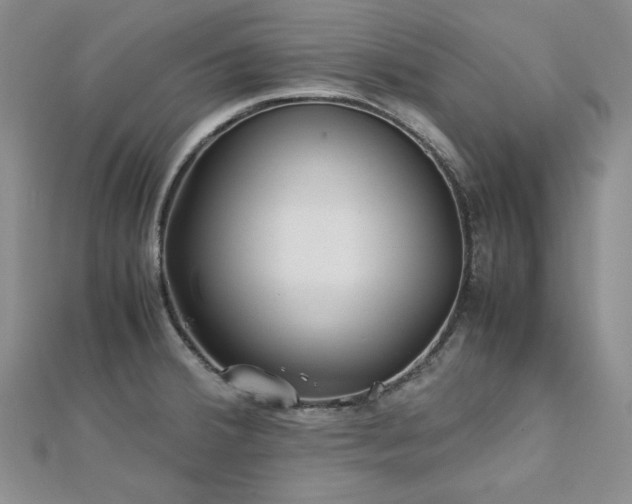 X0000113151380200909041224