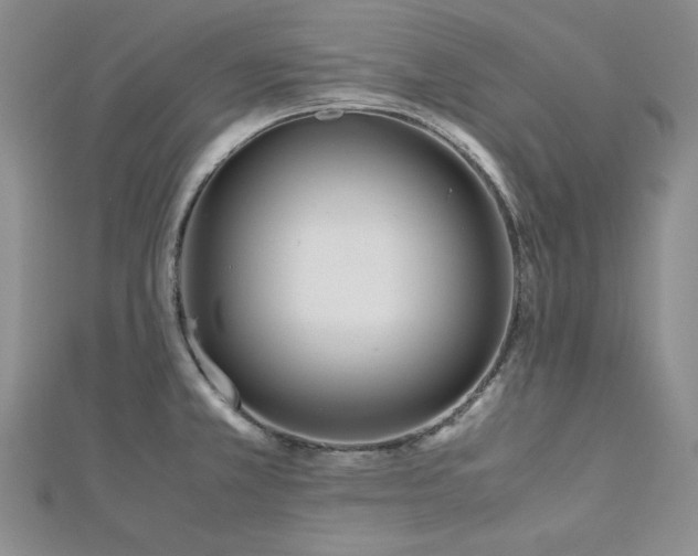 X0000113151381200909041224
