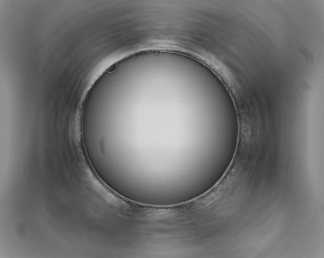 X0000113151382200909041224