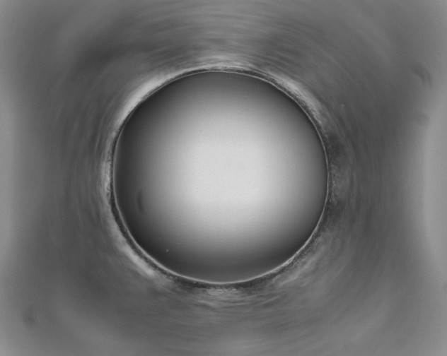 X0000113151383200909041224