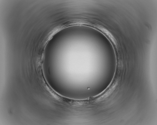 X0000113151385200909041224