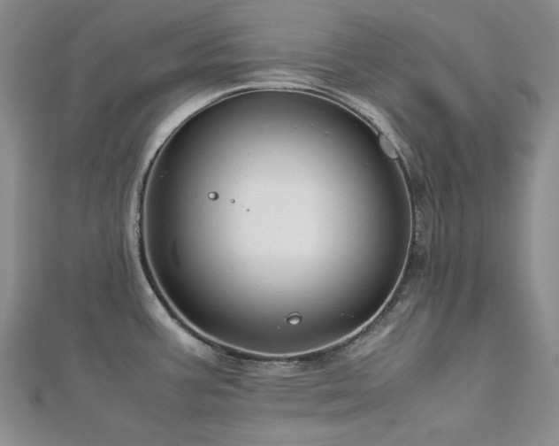 X0000113151387200909041224