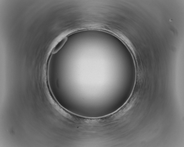 X0000113151389200909041224