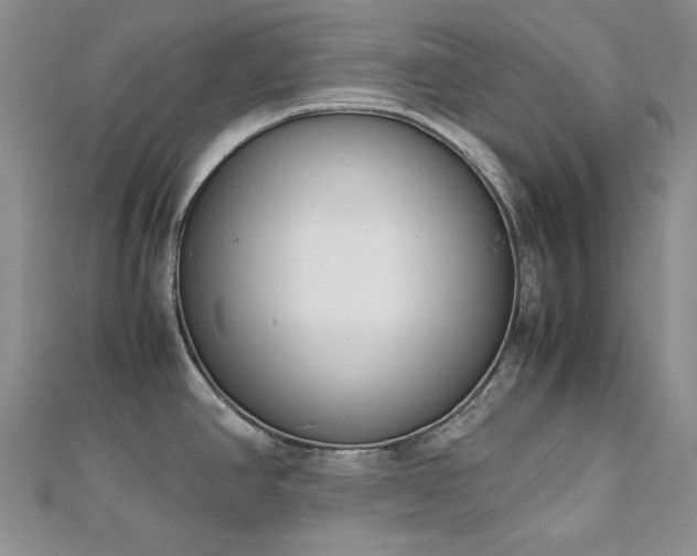 X0000113151390200909041224