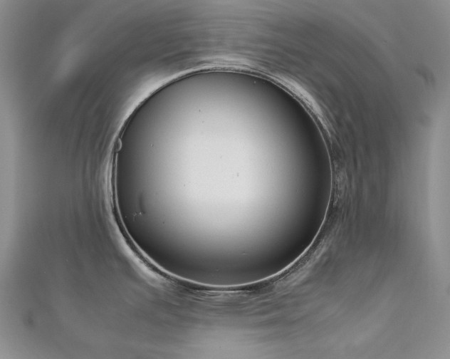 X0000113151391200909041224