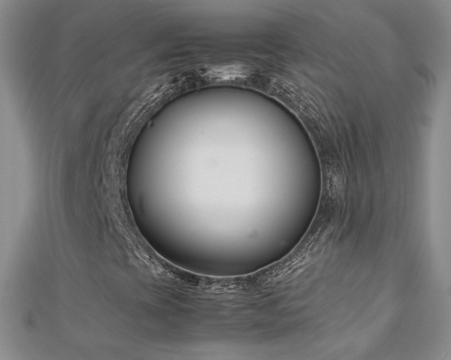 X0000113151393200909041223