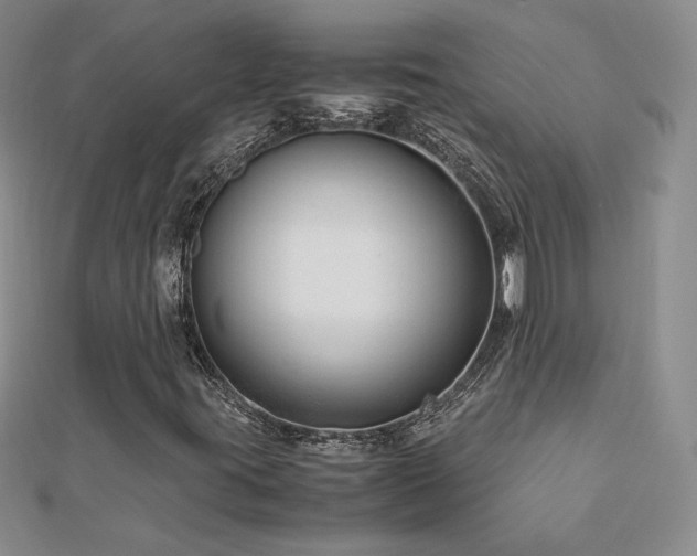 X0000113151395200909041223