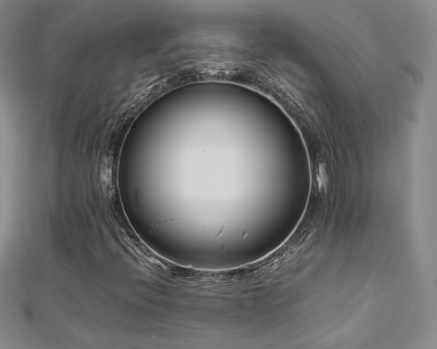 X0000113151396200909041223