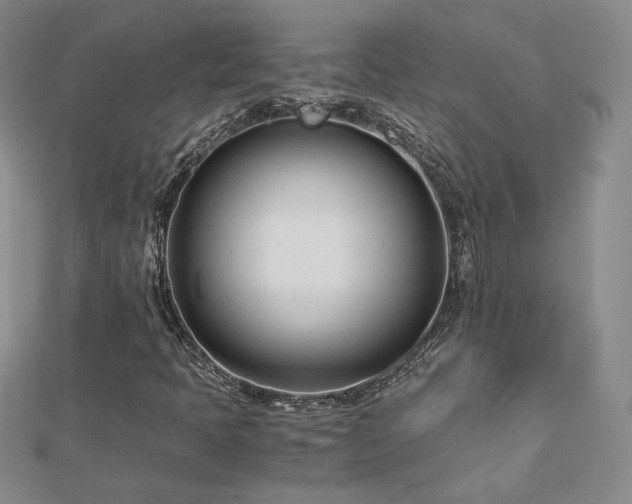 X0000113151397200909041223