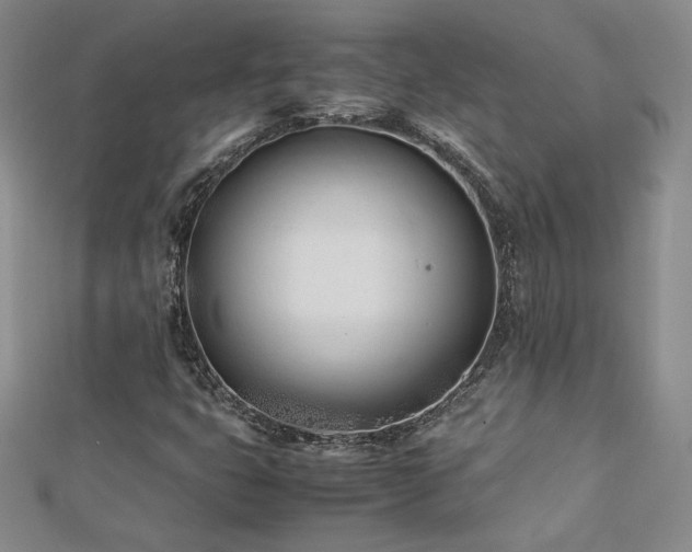 X0000113151399200909041223