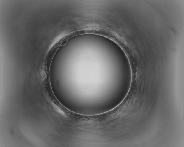 X0000113151400200909041223
