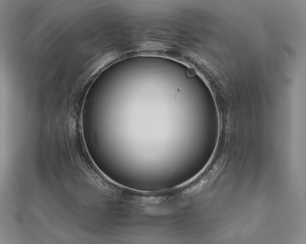X0000113151401200909041223