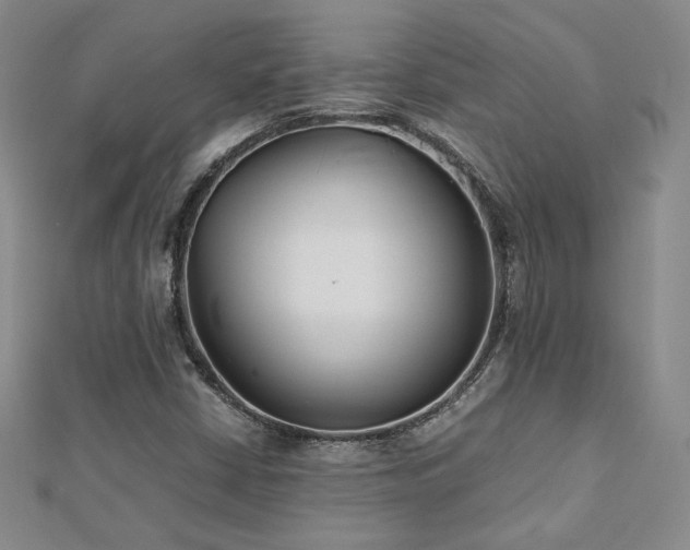X0000113151402200909041223