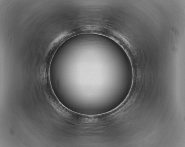 X0000113151403200909041223