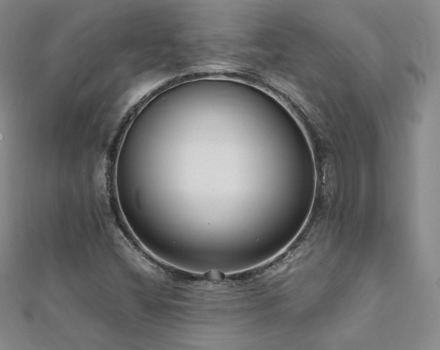 X0000113151404200909041223