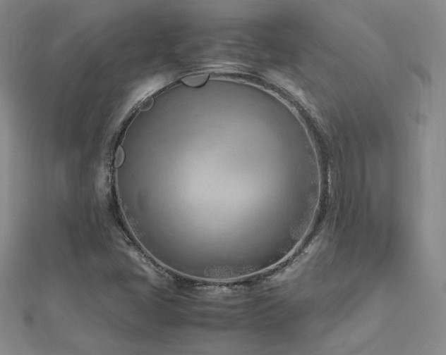 X0000113151405200909041223