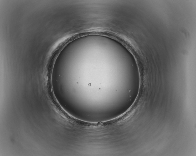 X0000113151406200909041223
