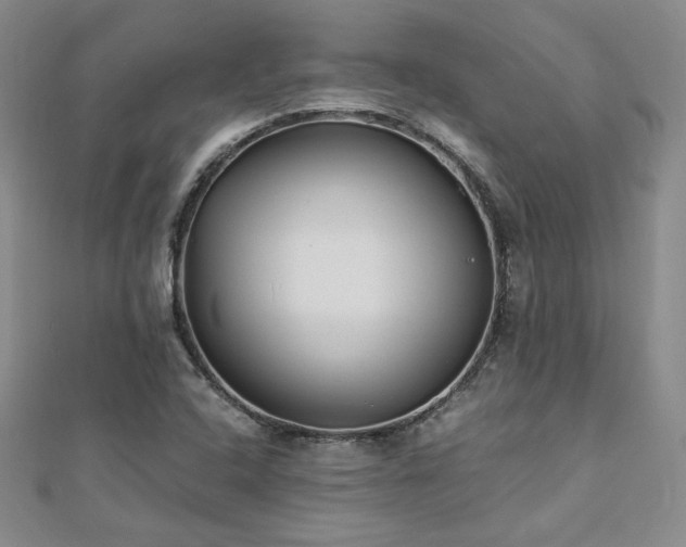 X0000113151408200909041223