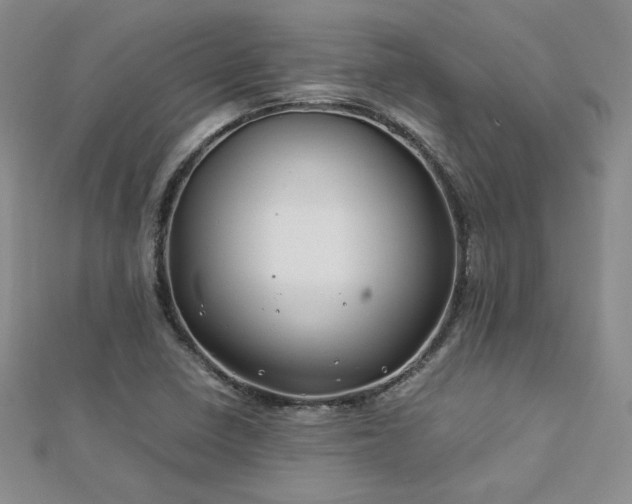 X0000113151410200909041223