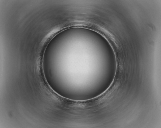X0000113151411200909041223