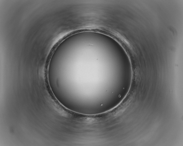 X0000113151412200909041223