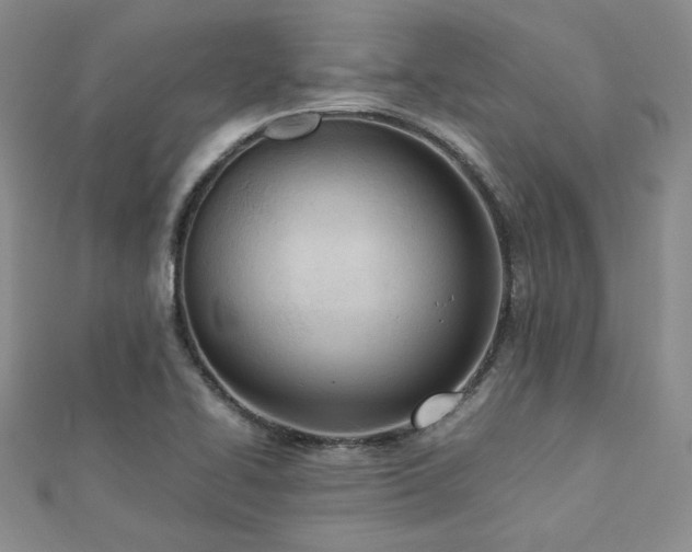 X0000113151414200909041223