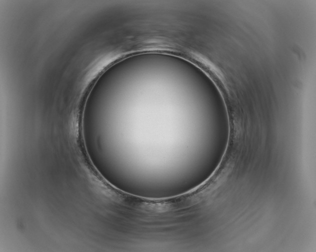 X0000113151415200909041223