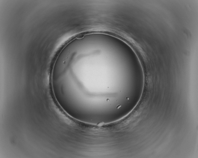 X0000113151416200909041223