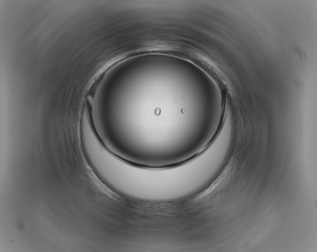 X0000113151417200909041223