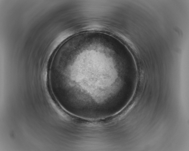 X0000113151418200909041223