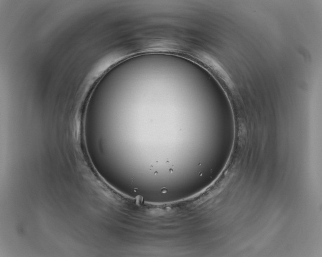 X0000113151419200909041223