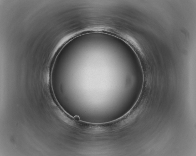 X0000113151420200909041223