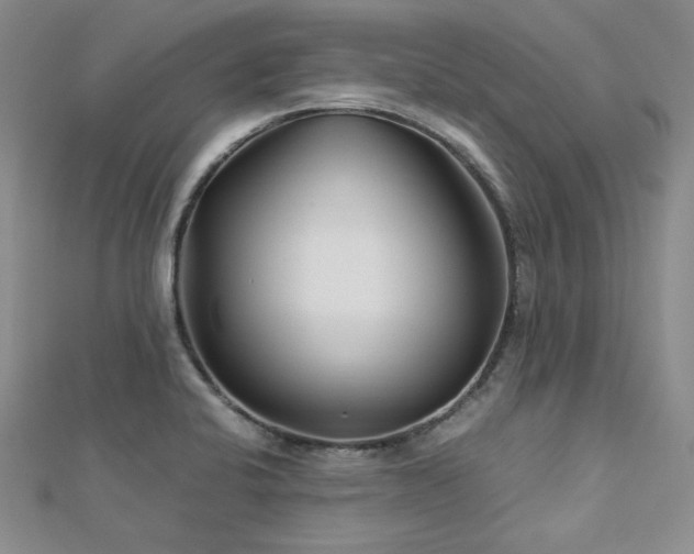 X0000113151424200909041223