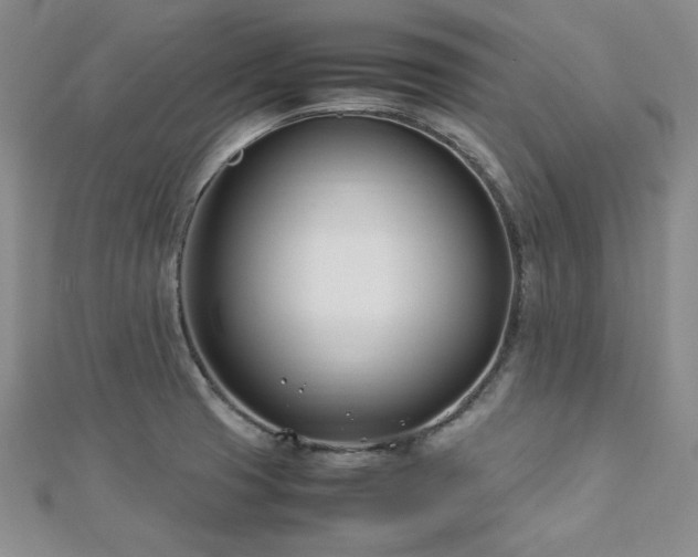 X0000113151425200909041223