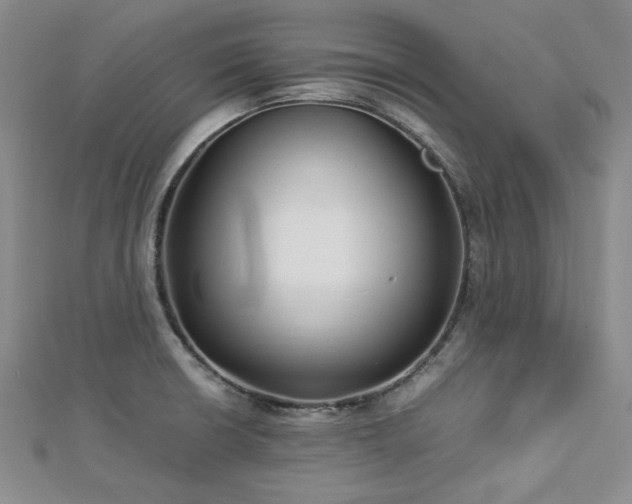 X0000113151426200909041223