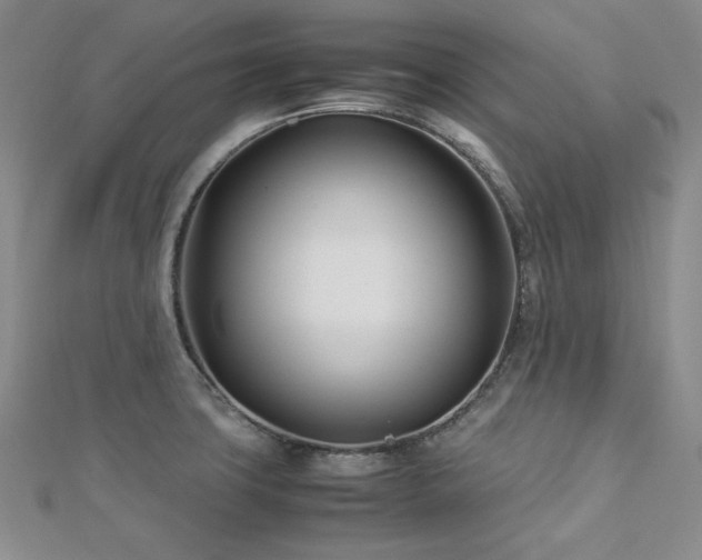 X0000113151427200909041223