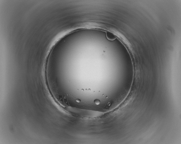 X0000113151429200909041223