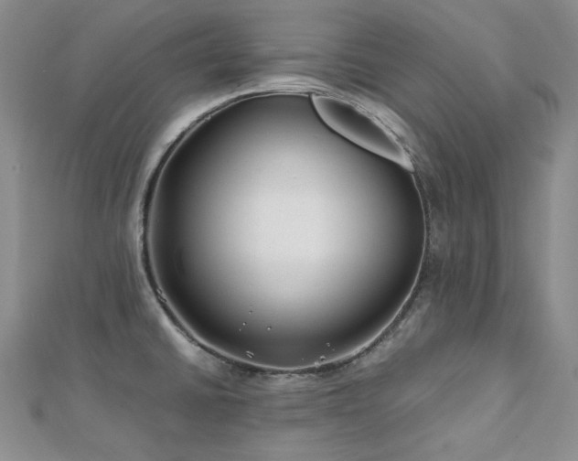 X0000113151430200909041223