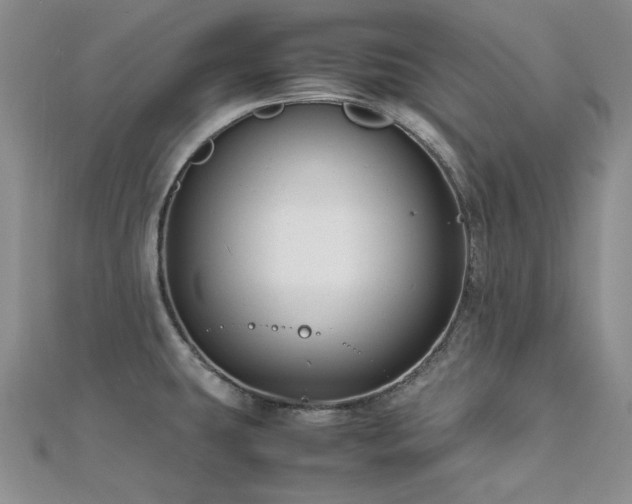 X0000113151431200909041223